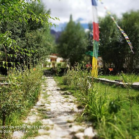 Lotus Eco Resort Hundar Екстериор снимка