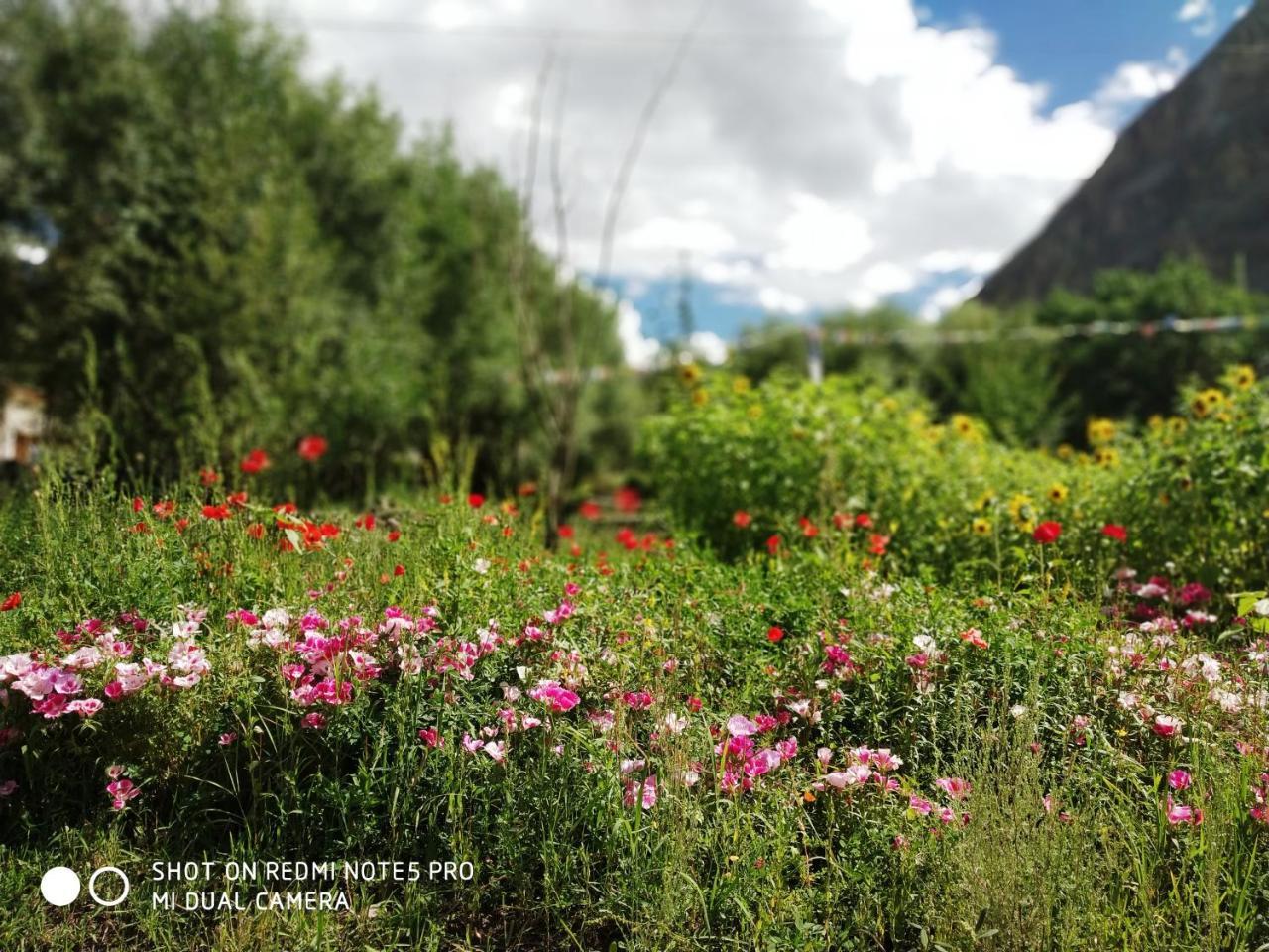 Lotus Eco Resort Hundar Екстериор снимка